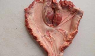 护心肉和肚边肉的区别 护心肉是什么肉